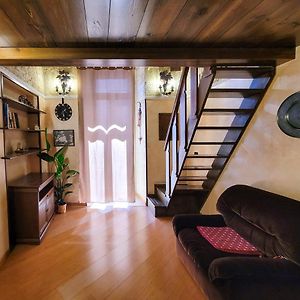 Cozy Classical Residence In The City Center